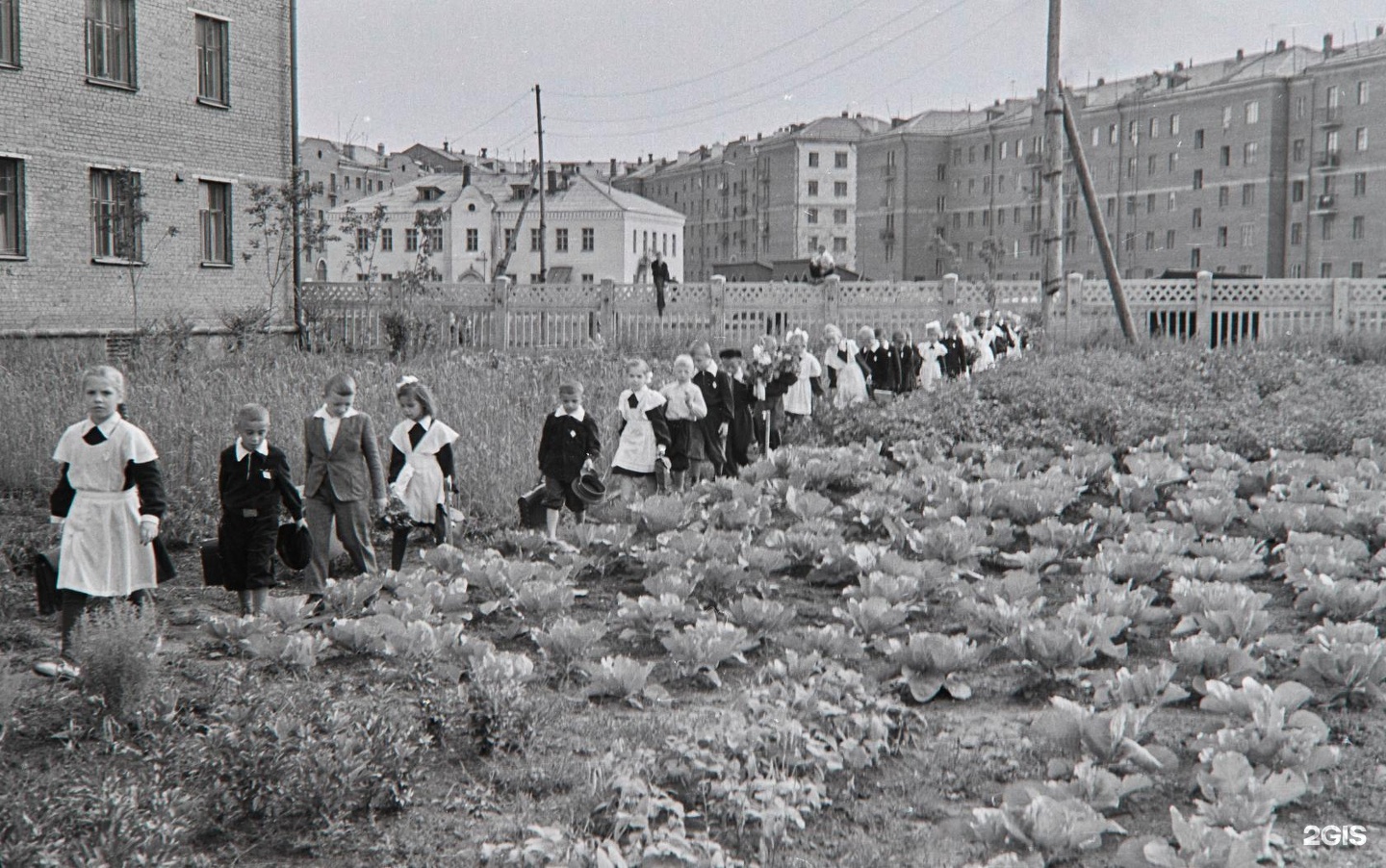 Проспект Курако, 6 в Новокузнецке — 2ГИС