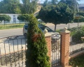 Гермес: отзыв от Алина Булам