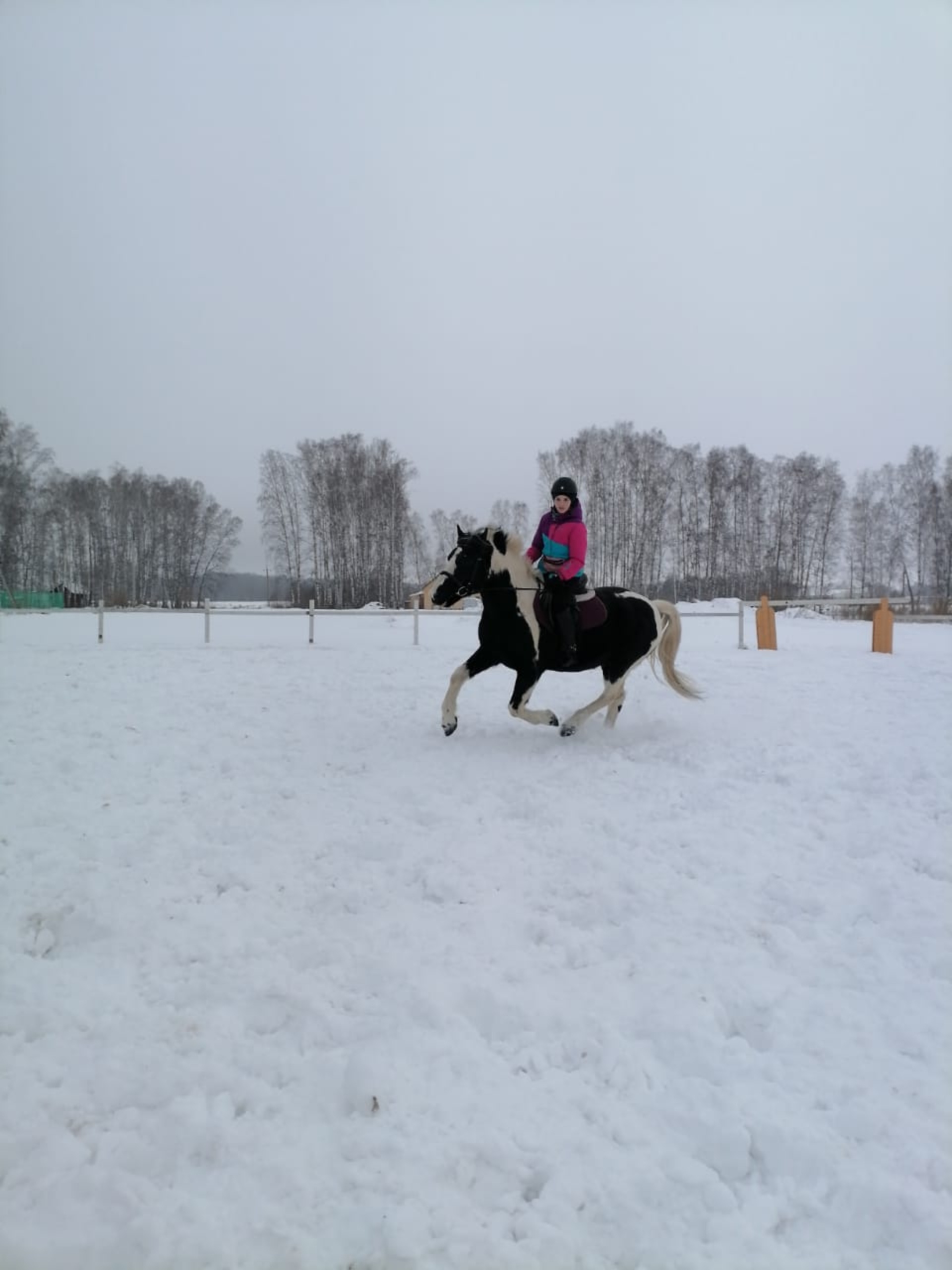 Paradise, конно-спортивный клуб, улица Горького, 46, с. Марусино — 2ГИС