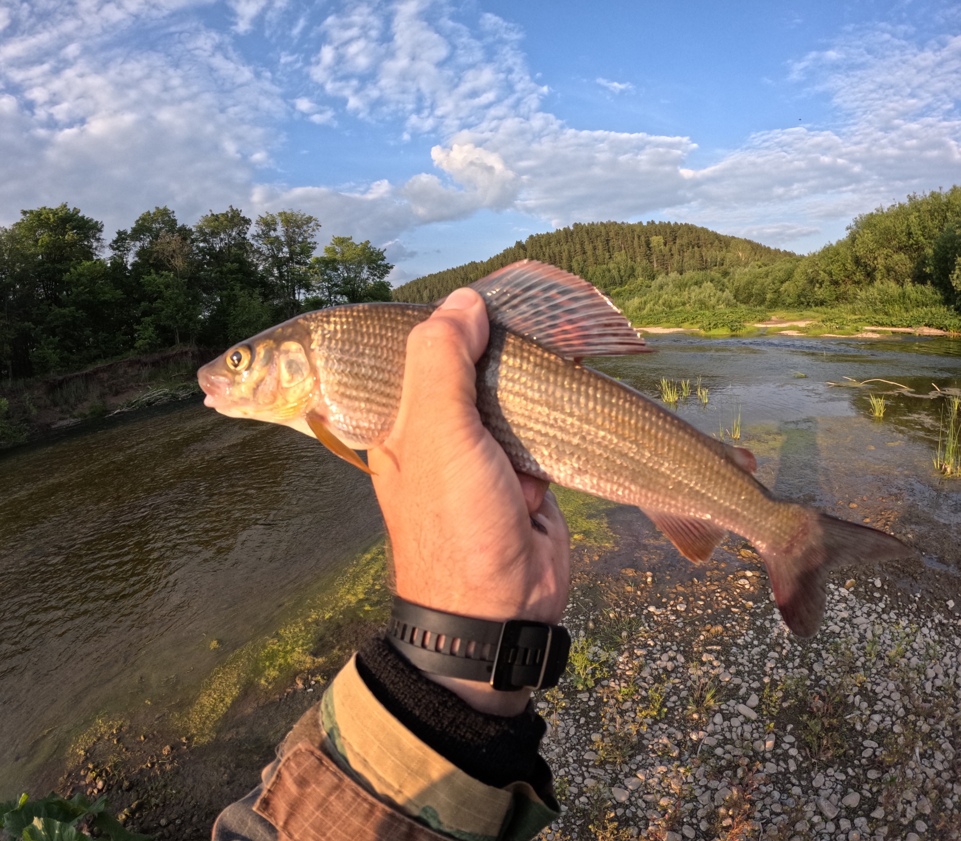 Fly fisher`s, магазин рыболовных принадлежностей, Луначарского, 15, Пермь —  2ГИС