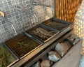Luciano Hotel&SPA Sochi: отзыв от Мария Елисеева
