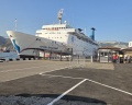 Новороссийск: отзыв от оксана долгорукова