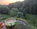 Клевер: отзыв от Елена Блинкова