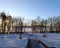Сосновая горка: отзыв от Макс ...