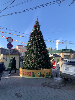 Тесла тревел владивосток официальный