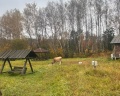 Этномир: отзыв от Юлия Зюзина