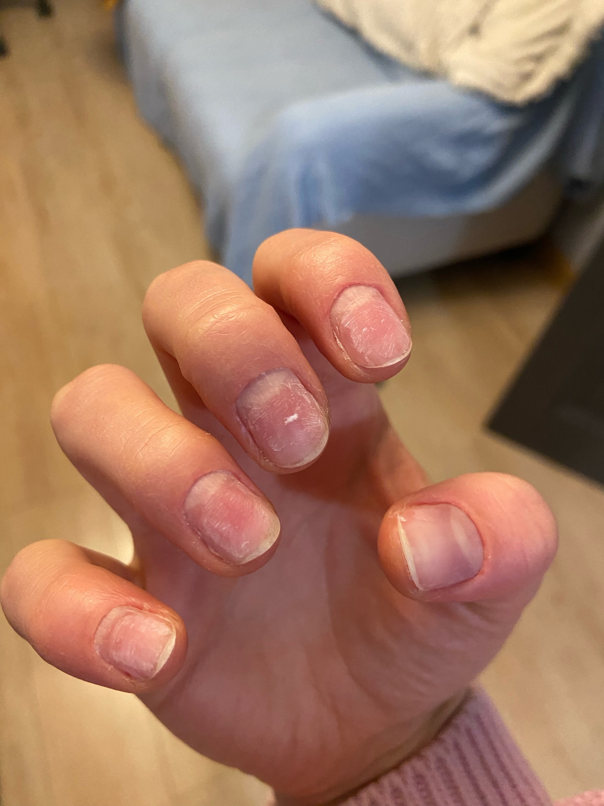 City Nails, сеть студий красоты, ЖК Дыхание, Дмитровское шоссе, 13, Москва  — 2ГИС