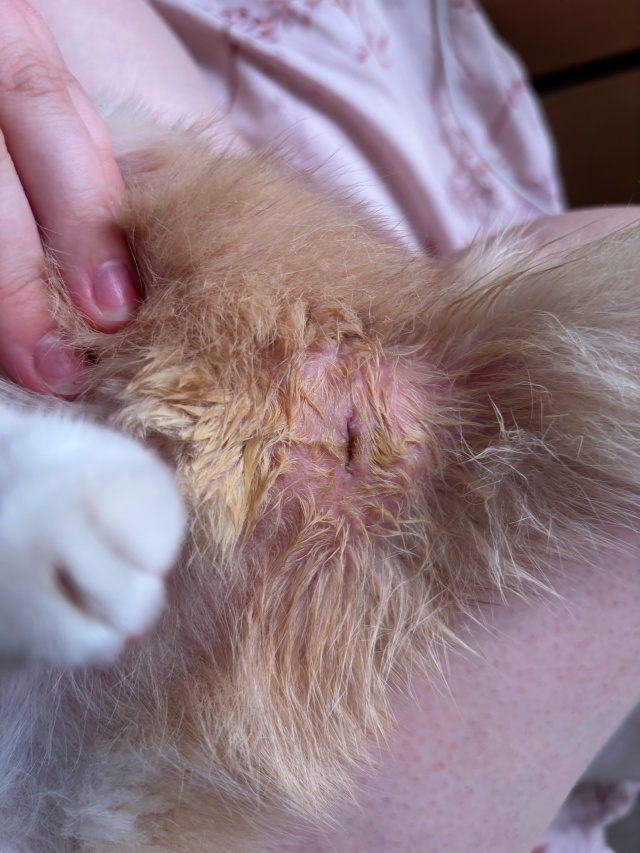 Әдемі әйел бөксесі, жақыннан жасалған фотосуреттер Желіде халаттағы әдемі порно