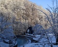 Pine River Красная Поляна: отзыв от Софья Бутенко