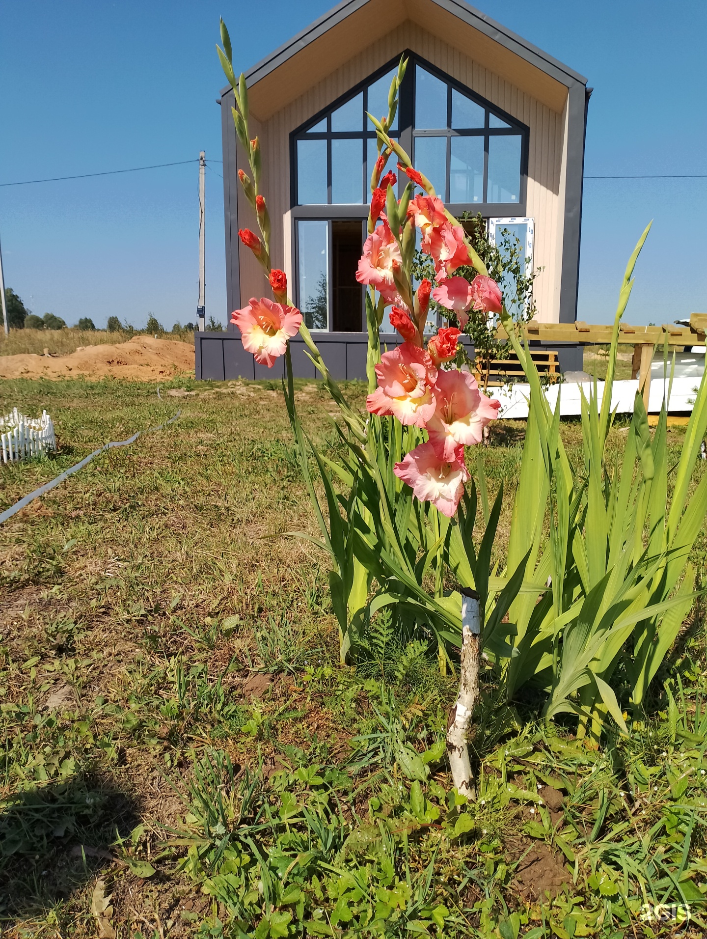 Дома Поволжья, строительная компания, улица Кирова, 12/1, Йошкар-Ола — 2ГИС