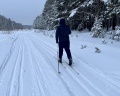 Ингала: отзыв от Юлия Глухих
