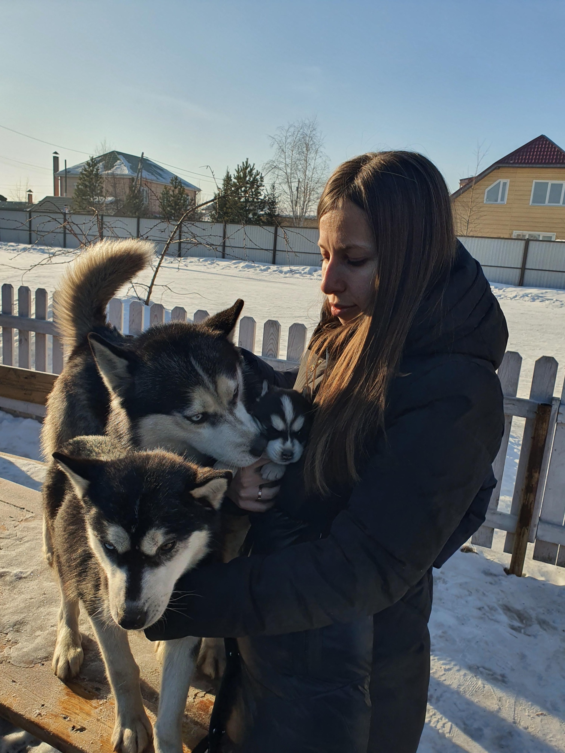 Аляска, загородный клуб, улица Полярная, 1, Красноярск — 2ГИС