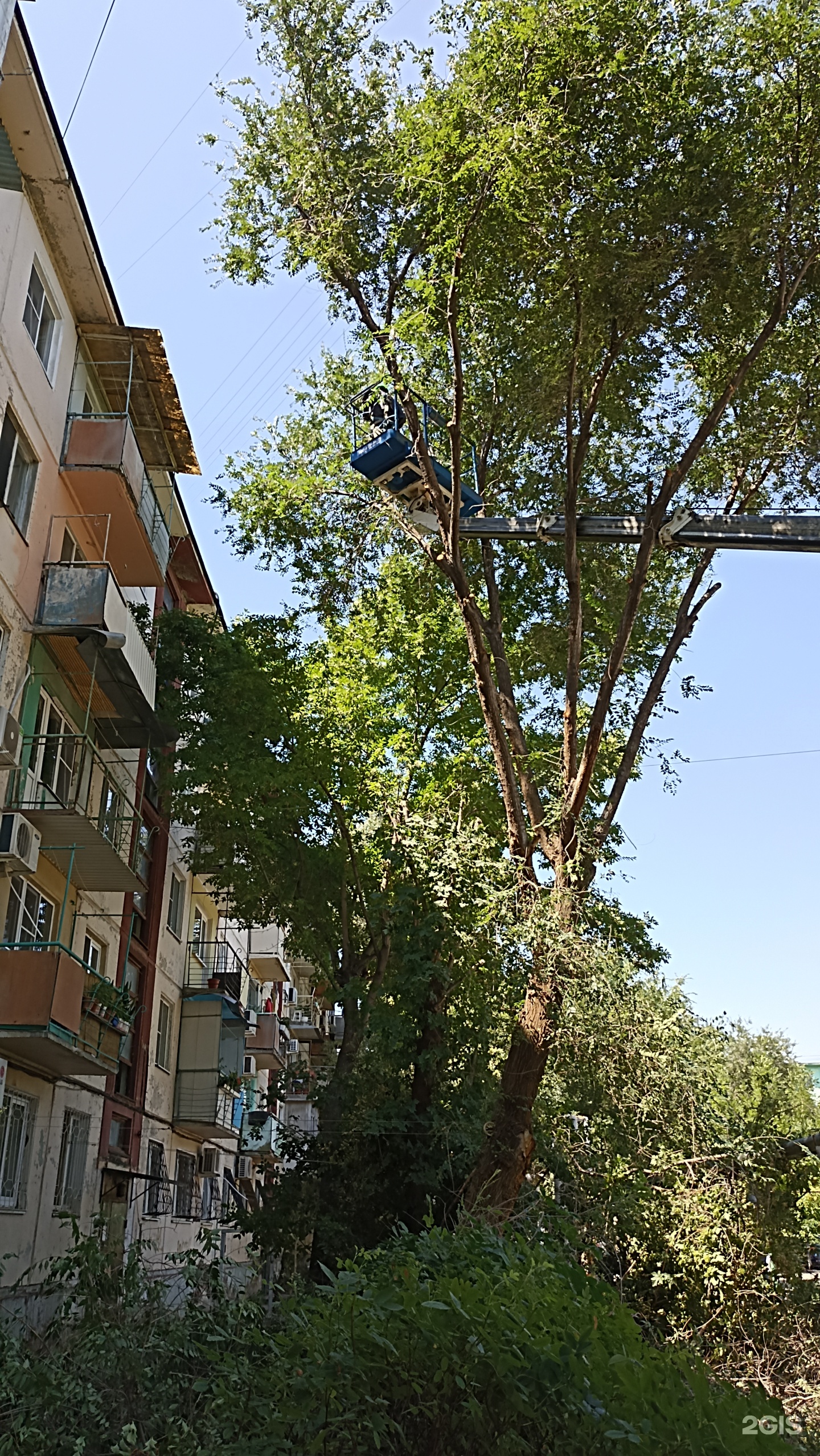 Зеленый город, Рыбинская, 4, Астрахань — 2ГИС