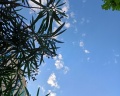 Green house detox&SPA: отзыв от Ренат Р