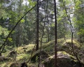 Rantala: отзыв от Даниил id92728507