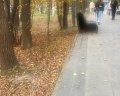 Парк имени Лазо: отзыв от Наталия Лосий