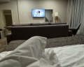 Holiday Inn Kaliningrad: отзыв от Нюргуяна Новикова