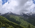 Green flow: отзыв от Ольга М