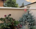 Alba inn apartments: отзыв от Татьяна Ермоленко