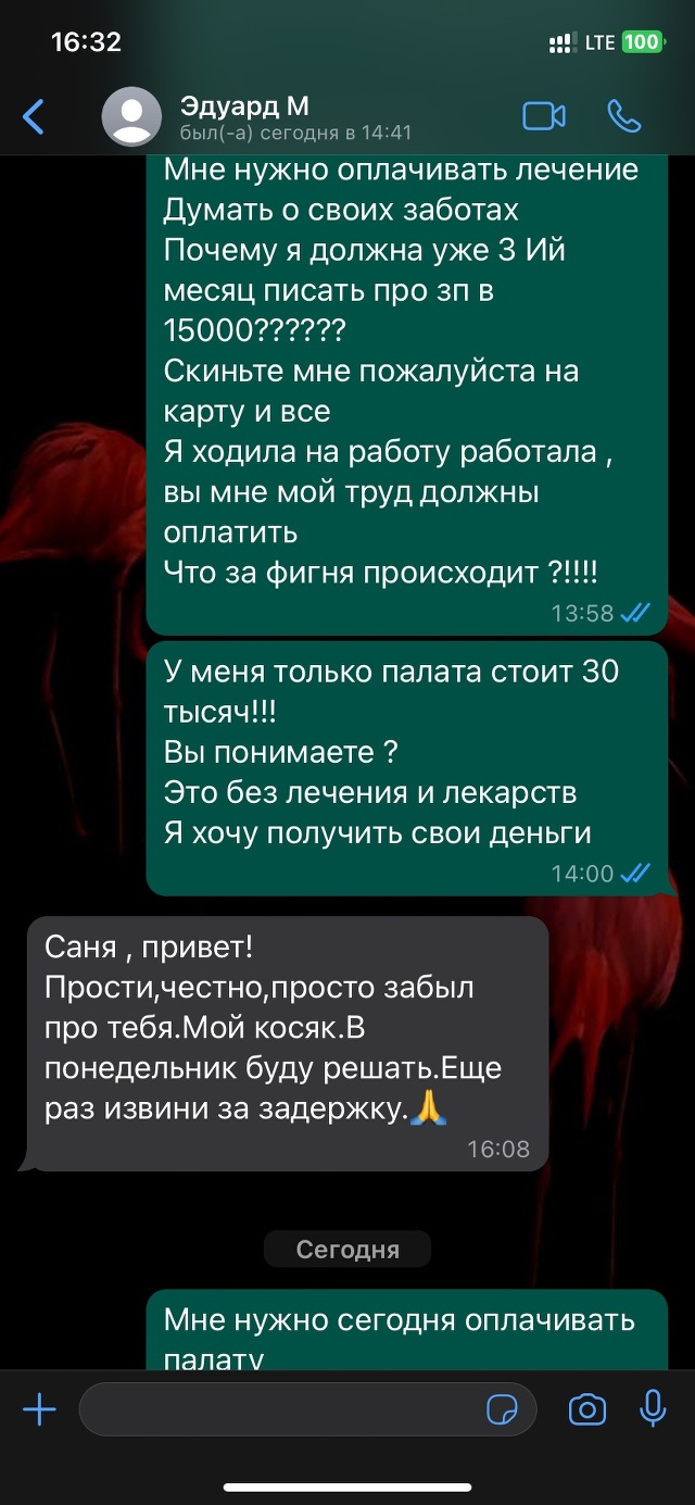 ДокВет, ветеринарная клиника, улица Коллонтай, 11 к1, Санкт-Петербург — 2ГИС