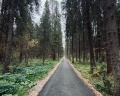 Романов Лес: отзыв от Анастасия Чернова