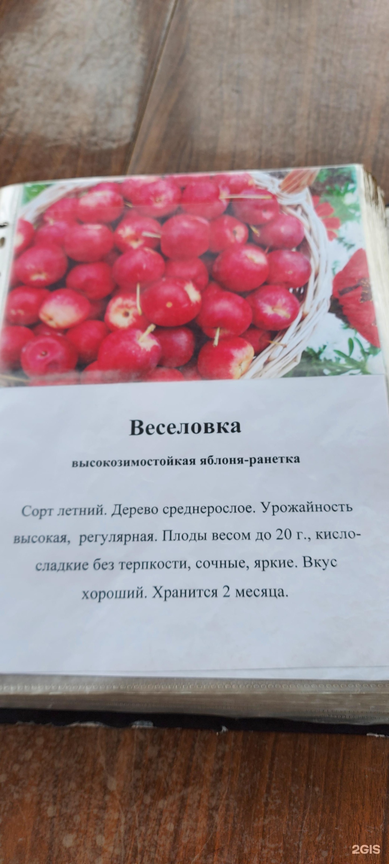 Плодово-ягодный питомник, Приморское лесничество (36-й квартал), 1, Иркутск  — 2ГИС