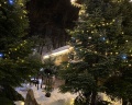 Stellar collection chalet, Krasnaya Polyana: отзыв от Виктория Юрьевна