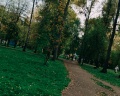 Парк «Берёзовая роща»: отзыв от Иван Ivan