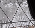 Holidays Forest: отзыв от Городской житель