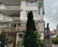 Зелёный попугай: отзыв от Ксения Кузнецова