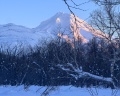 Kamchatka forest lodge: отзыв от Tatyana Klimova