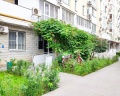 Скотч: отзыв от Александр Дегтярев
