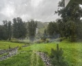 Маральник Altai Palace: отзыв от Елена Немыкина