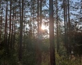 Зеленые Ключи: отзыв от Наталья Петренко