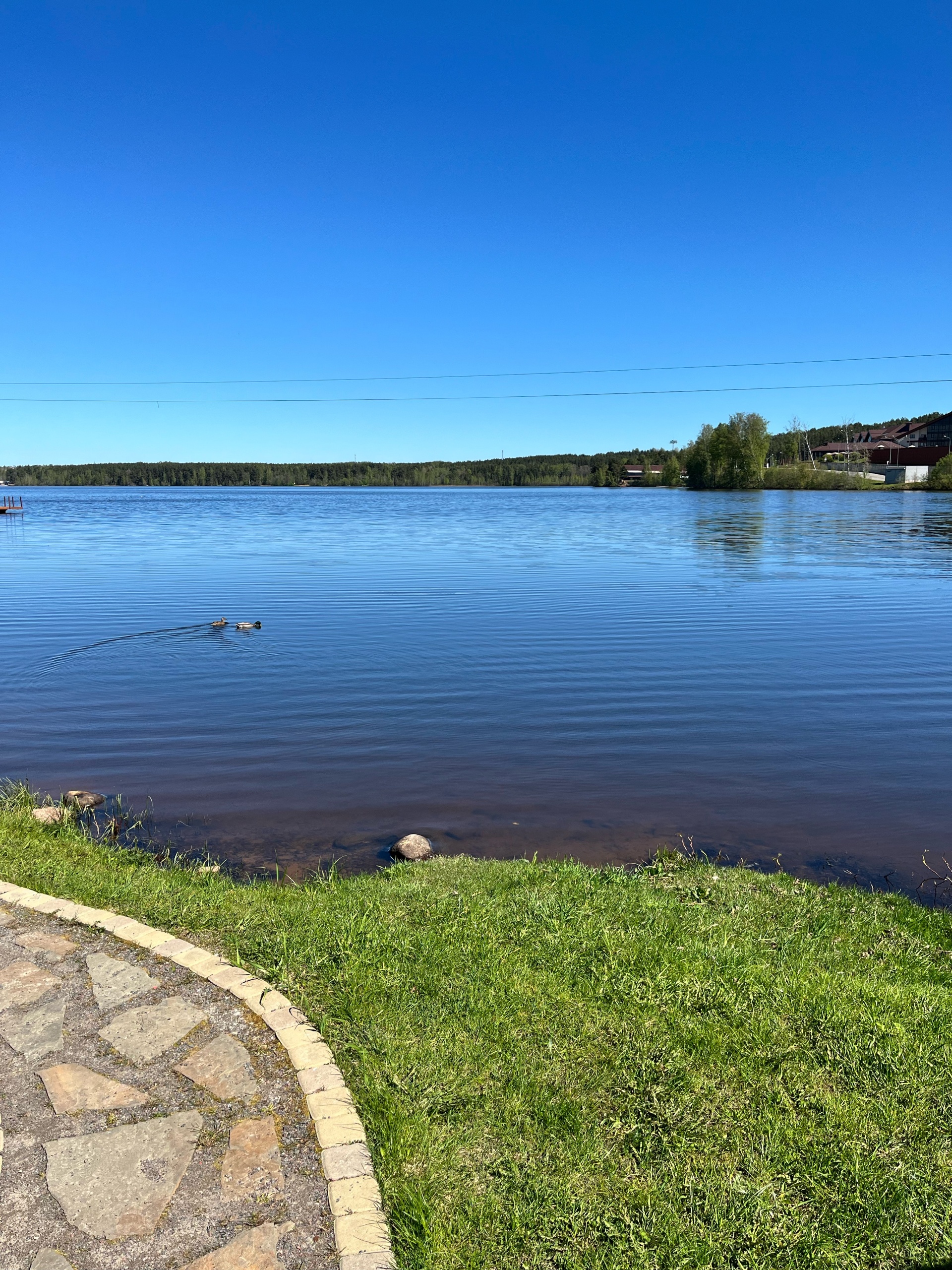 Курголовский Берег, Лесгафта, 15, городской пос. Токсово — 2ГИС