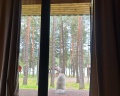 Пилот: отзыв от La Donna