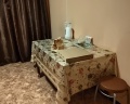 Спутник: отзыв от Irishka I