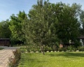 Фрегат: отзыв от Раиса Баулина