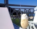 Kol Gali Resort&SPA: отзыв от Марина сафина