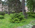 Парус: отзыв от Анастасия Старинчикова