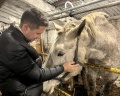 Прибой: отзыв от Карина Саляхова