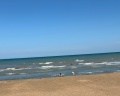 Green Vill: отзыв от Алина ...