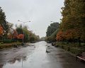 Парк Горького: отзыв от Александр Муллов