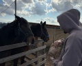 Farm&Village: отзыв от Анна Максимовна
