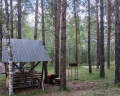 Кедровый Лафет: отзыв от Ирина Иванус