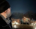 Гуляй-город: отзыв от Владимир Нигматулин