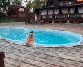 Ая: отзыв от Анна Гутман