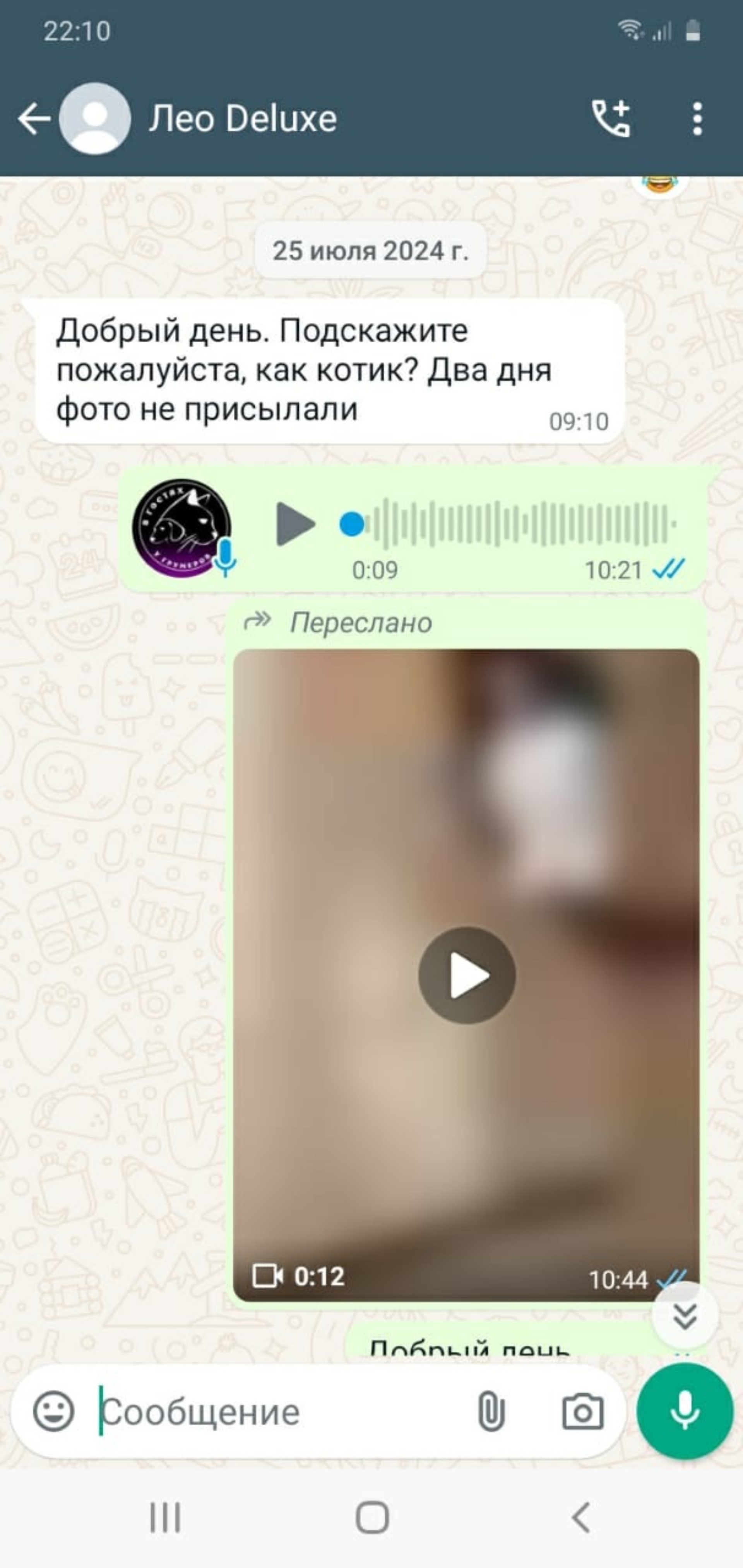 трусики    @@@@@ arhivach.org $ 