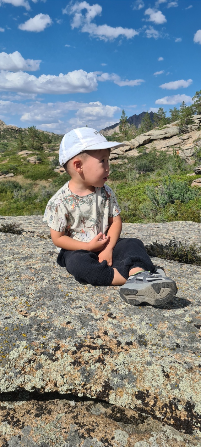 Таз қабықтың суреті