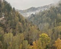 Усадьба Светоч: отзыв от Вероника Ким